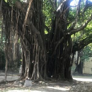 Meet your Posher, Tavia